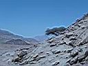 Sinai 6